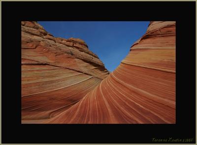 wave 0421.JPG
