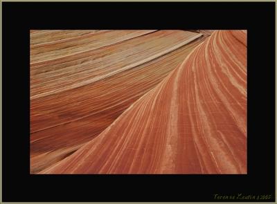 wave 0441.JPG