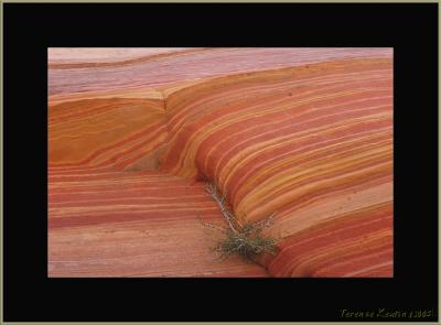 wave 0531.JPG