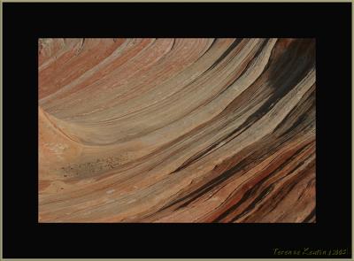 wave 0831.JPG