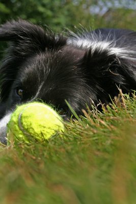 Fame and her ball