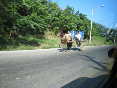 Burro, el costeno primer amor... :-)