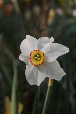 g4/59/257559/3/134547649.jEZMeV8n.jpg