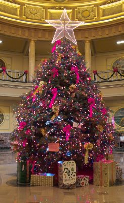 Christmas Tree at Marywood University.jpg