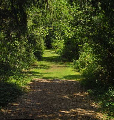 Path Pano Summer 2006.jpg