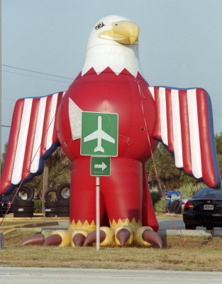 Its+a+bird+its+a+plane.
