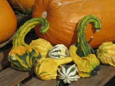 Nov 2011: Pumpkin BOF