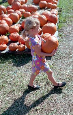 Pumpkin chosen