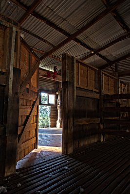 Shearing Shed, Turlee Station
