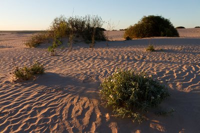 Lake Mungo National Park