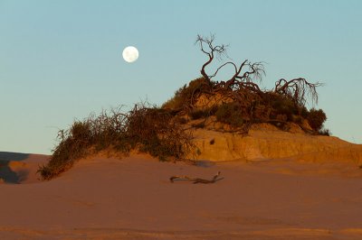 Lake Mungo National Park