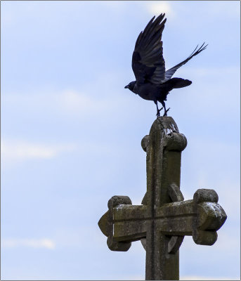 Crow Clearing Cross
