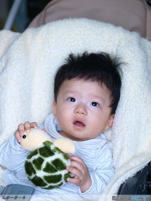 g4/59/403659/3/132616003.luA9sqlM.jpg