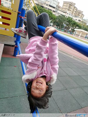 P1010356 .jpg