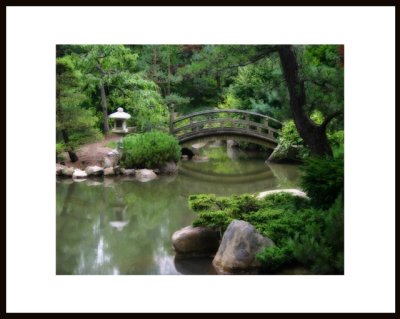Koi pond with Japanese wood bridge