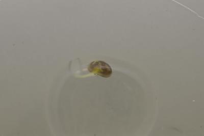 IMGP10773.jpg