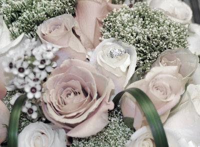 104_8802a.jpg