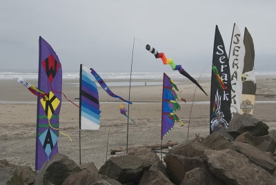 OR Rockaway Beach Kites for Kiteboarding.jpg