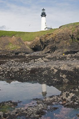 OR Yaquina Head Lighthouse.jpg