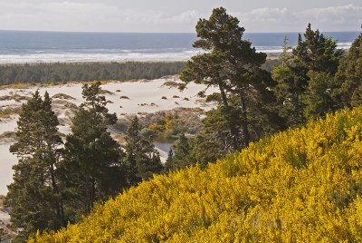 OR Oregon Dunes NRA 0.jpg