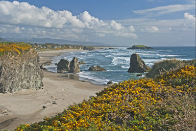 OR Bandon 01.jpg