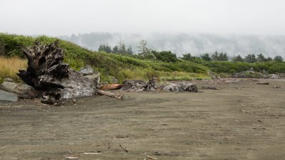 Crescent City Beach