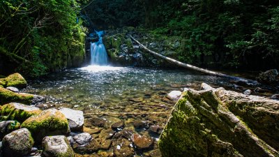 Sweet Creek Falls