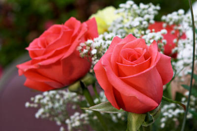CRW_0918.jpg