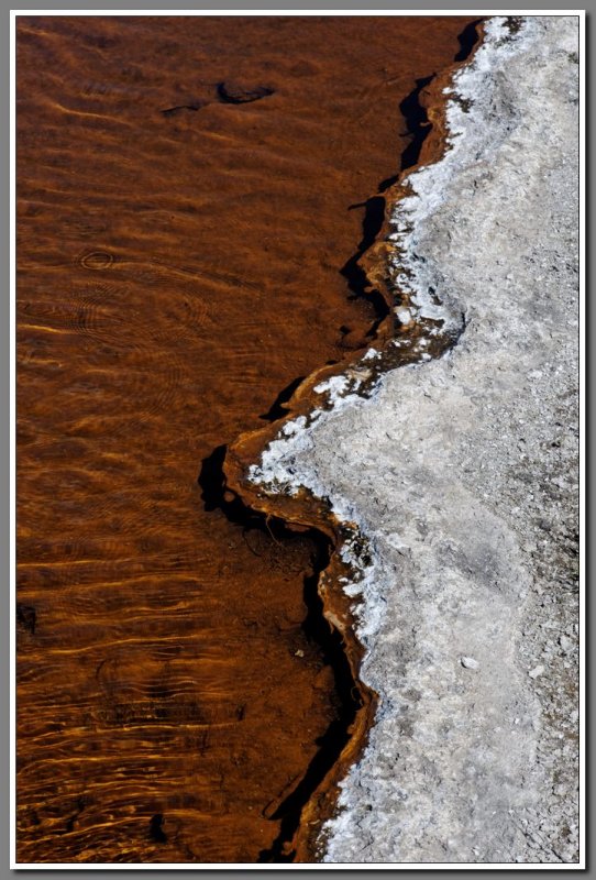 On the Edge of Firehole Lake