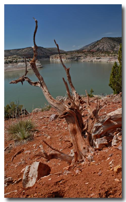 Snag, Bighorn River