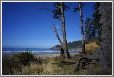 Oregon Coast 2011