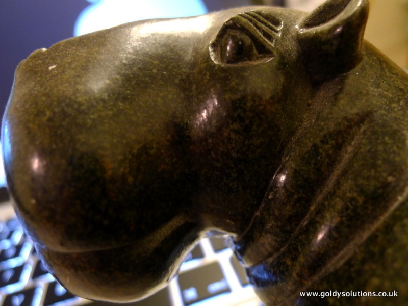  - 9th March 2011 -   i-hippo