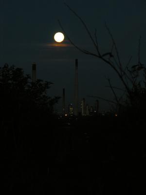  - 16th November 2005 - Evening Moon