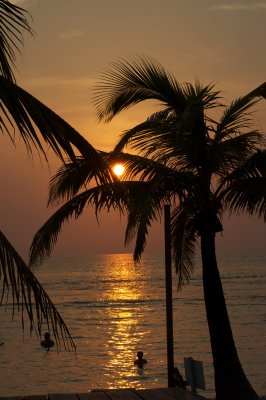 sunset palm