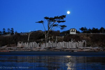 Kalaloch FEB 2012-25.jpg