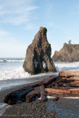 Kalaloch FEB 2012-32.jpg