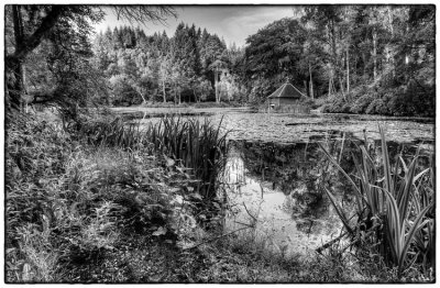 Dunmore Lochan, Pitlochry - DSC_9547_51.jpg