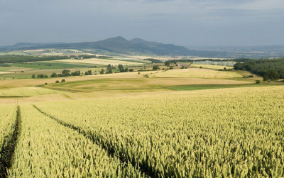 Lomond Hills - DSC_0465.jpg