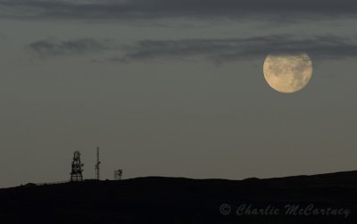 Falkland Hill - DSC_1071.jpg