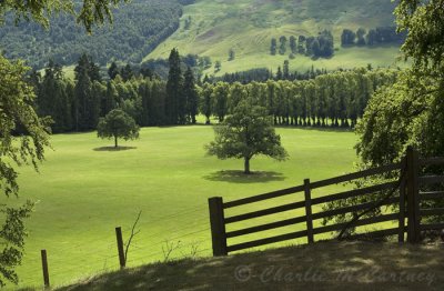 Blair Castle grounds - DSC_1266.jpg