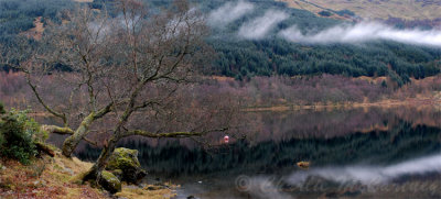 Loch Voil, Balquhidder - DSC_5929_30.jpg