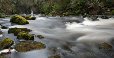 The Hermitage, Dunkeld - DSC_5872_73.jpg