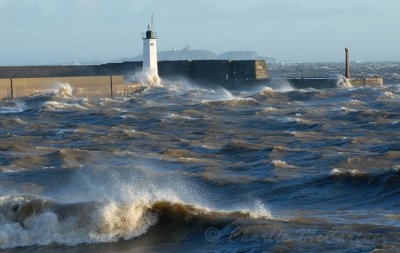Storm at Anstruther Harbour - DSC_6216.jpg