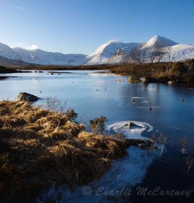 Blackmount, Rannoch Moor - DSC_6467_68.jpg