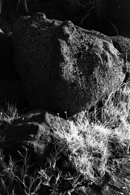 Stone exposed by morning light