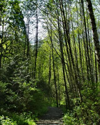 Twin Falls Trail