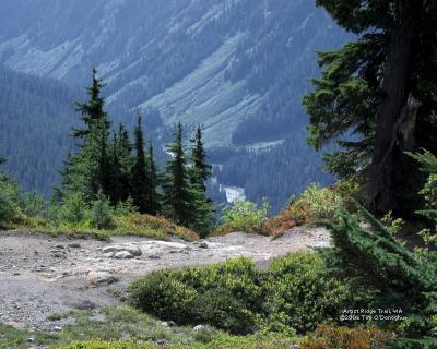 Artist Ridge Trail