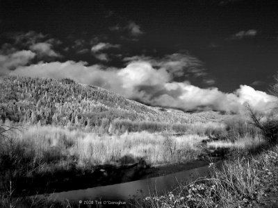 A North Cascades River Scene