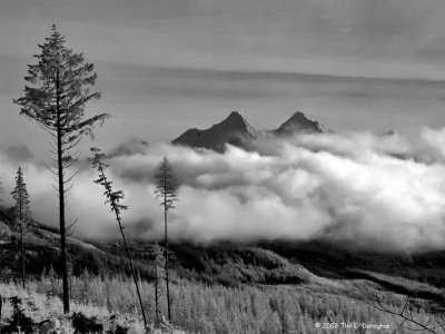 Twin Sisters Mountain from Van Zandt Dike