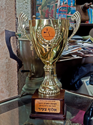 PC273076_trophy